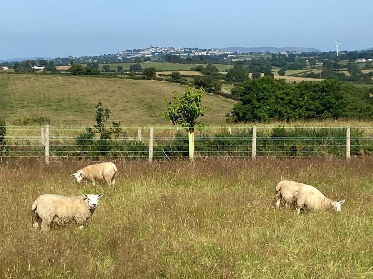Rathfriland Bramble Cottage מראה חיצוני תמונה