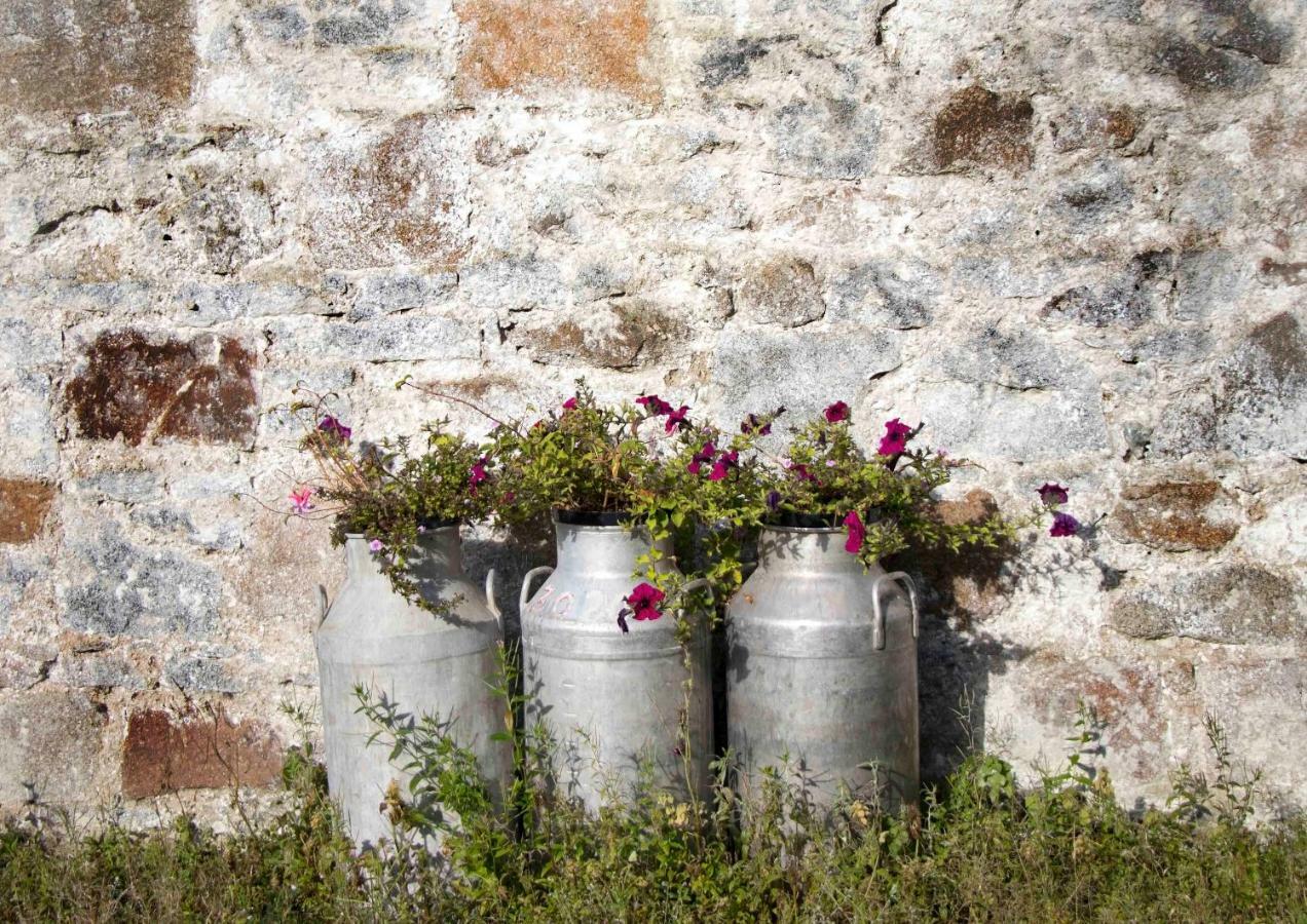 Rathfriland Bramble Cottage מראה חיצוני תמונה